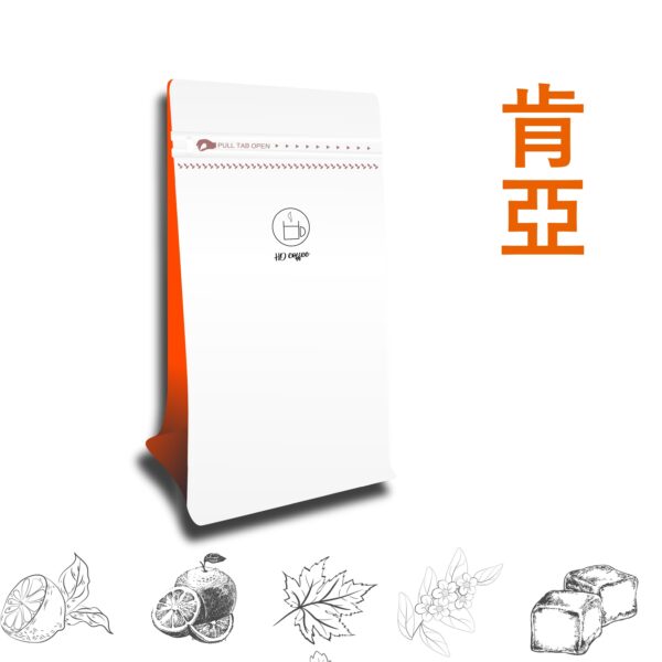 光の旋律 肯亞 水洗 淺中焙 11g x 10 濾掛咖啡組
